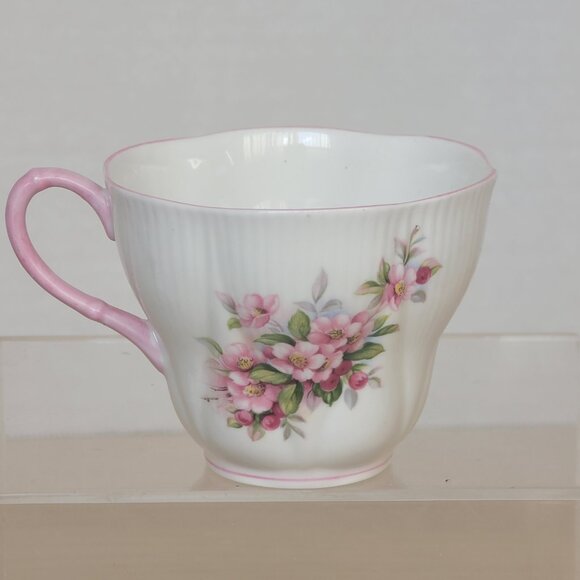 Vtg Royal Albert Bone China Blossom Time Series Apple Blossom Tea Cup & Saucer - Picture 8 of 16